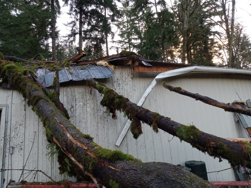 Fallen tree ripping the gutter and crushing the metal roof edge before repair